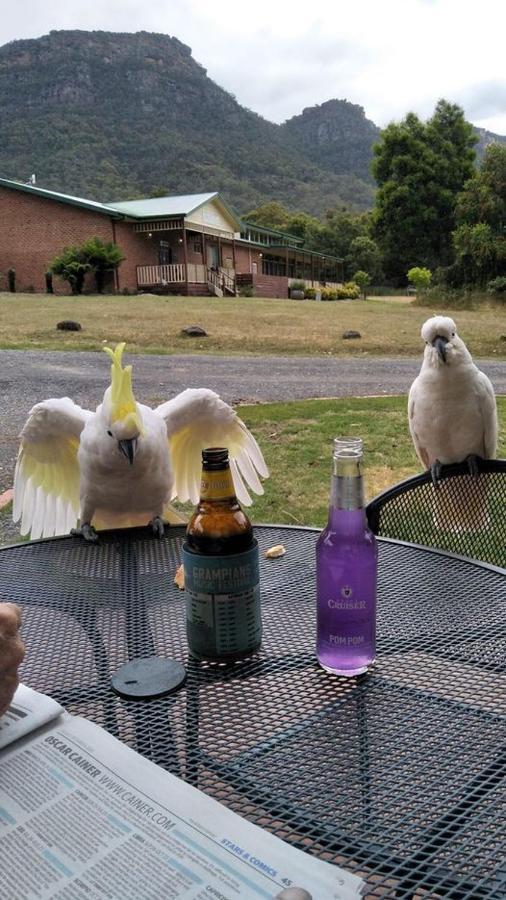 Halls Gap Valley Lodges Dış mekan fotoğraf